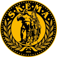  SKEMA Energie & Kampfkunst Akademie Zürich
